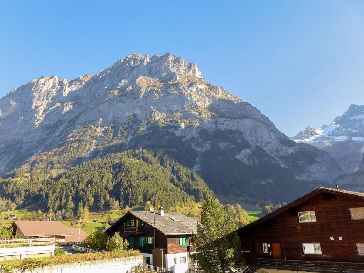 Apartment Chalet Almis-Boedeli-2 By Interhome Grindelwald Exterior photo
