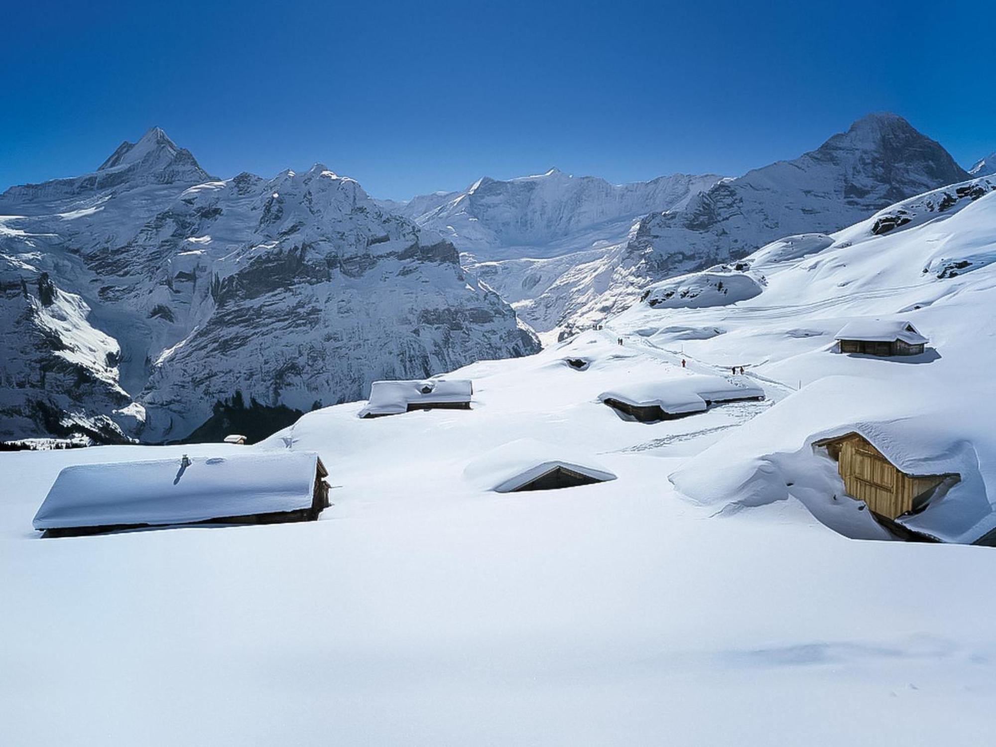 Apartment Chalet Almis-Boedeli-2 By Interhome Grindelwald Exterior photo